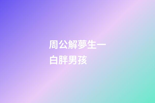 周公解夢生一白胖男孩 (做夢生了個白白胖胖的男孩)-第1張-觀點-玄機派